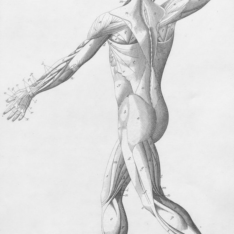 Neuropathologie cover