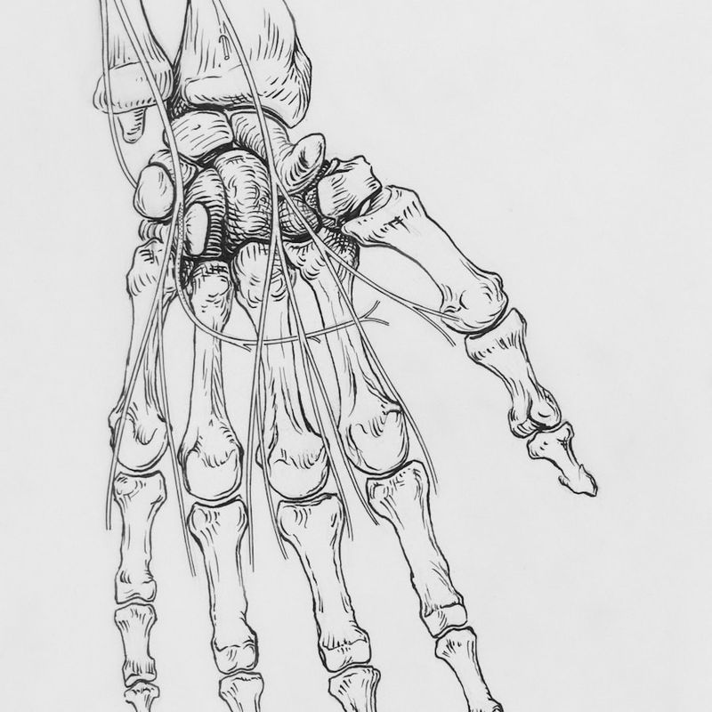 Neuromuscular pathology cover